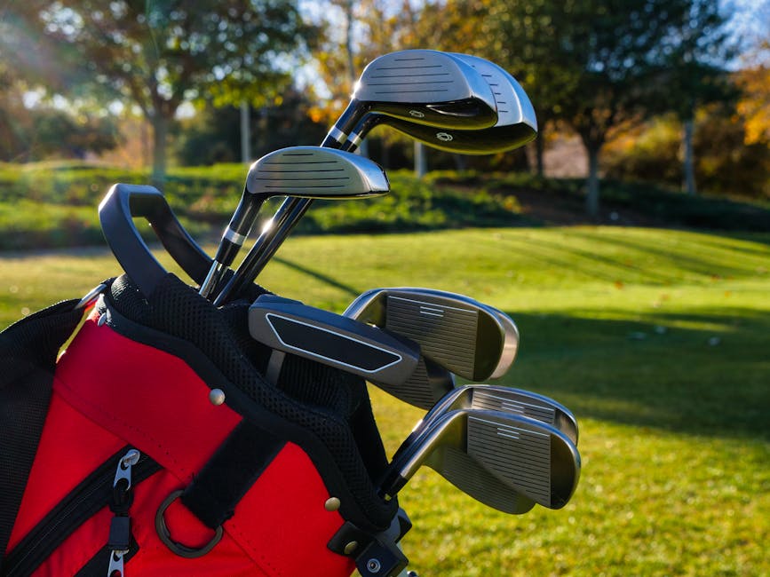 Golf clubs in a red golf bag