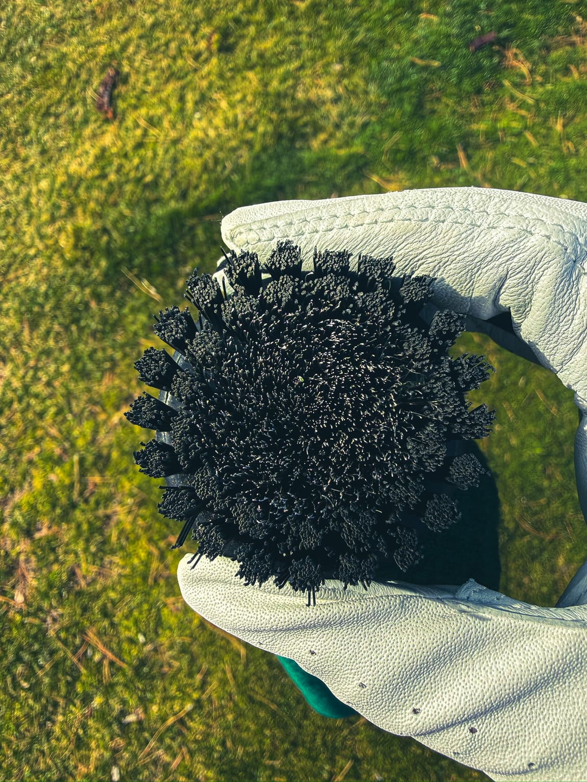 Wire Brush Golf Grooves: Clean Fast, Don’t Shred Spin