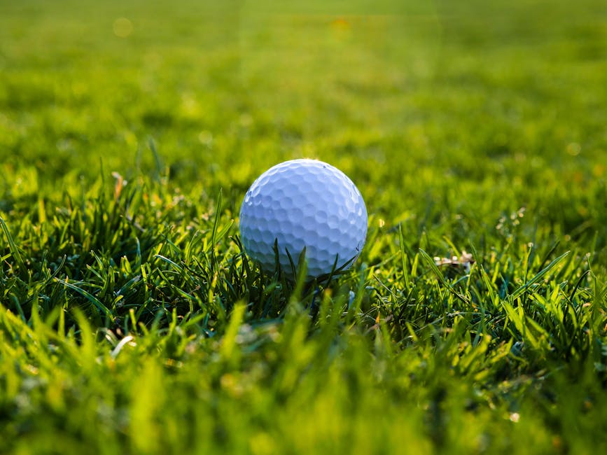 White golf ball resting in sunlit green grass