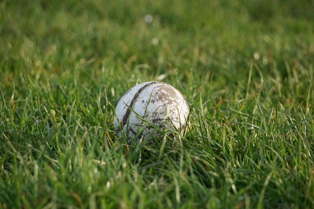 Old white ball lies in tall grass