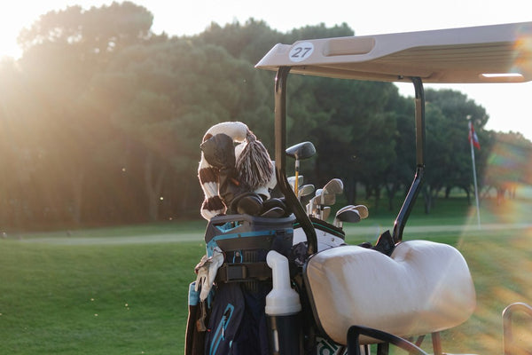 Golf cart with clubs at sunset